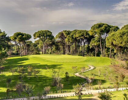 HOLE 6   PLATEAU