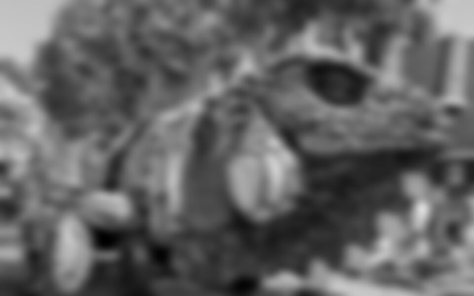 To nejlepší z Holandska + PODZIMNÍ KORZO + NEJVĚTŠÍ NÁRODNÍ PARK (autobusem)