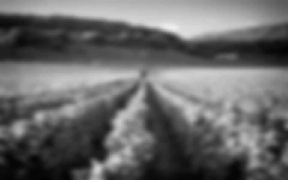 Francie - Beaujolais A Burgundsko