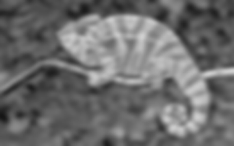 Madagaskar - Osmý kontinent světa