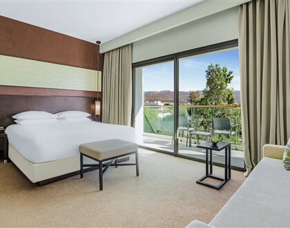 Standard Room King Size Bed