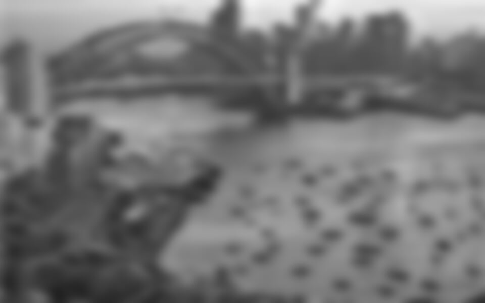 The best of Australia - Fly & Drive