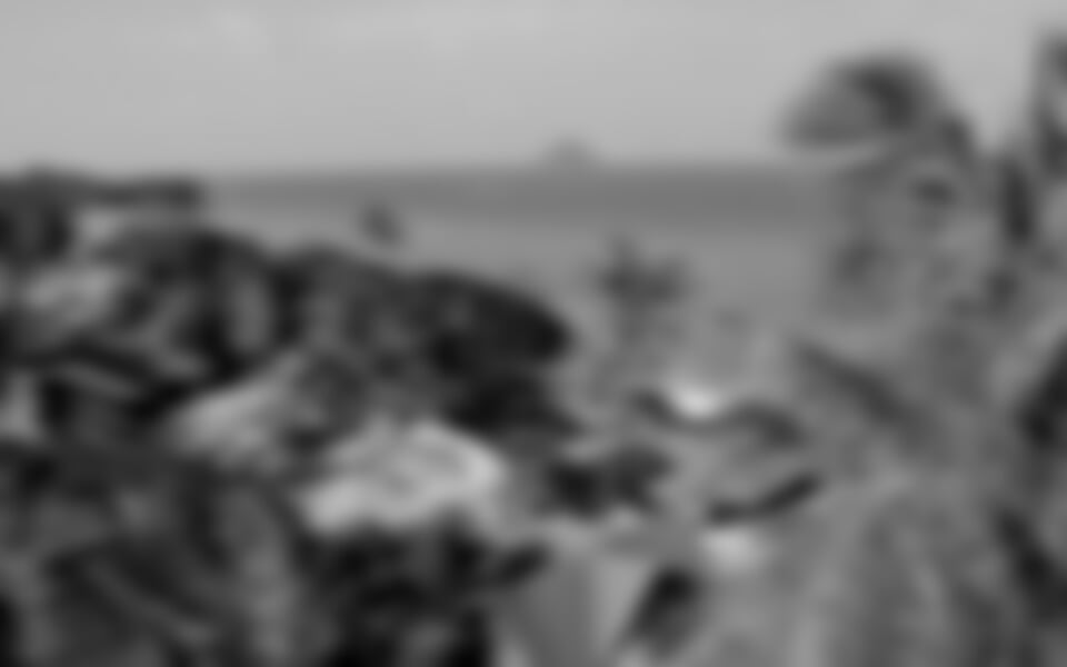 Bangkok - Phuket - Phi Phi - Krabi (Thajsko)