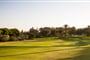 GOLF DU SOLEIL 8