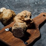 chuttersnap pNIr0myHMSg unsplash
