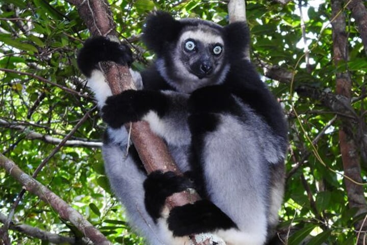 Madagaskar - to nej z jižní a západní části ostrova