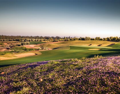 Assoufid Golf (3)