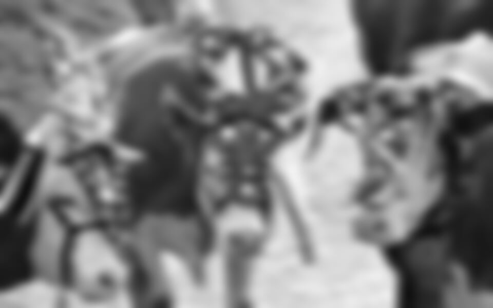 Schladming - Shánění stád-Almabtrieb v Ramsau am Dachstein