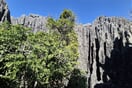 Tsingy de Bemaraha 01