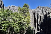 Tsingy de Bemaraha 01