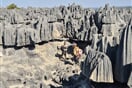 Tsingy de Bemaraha 02