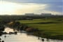 Al Zorah Golf & Yacht Club (3)