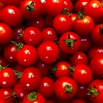 masa sazaki PtyHmjfZWbA unsplash