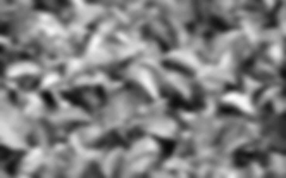 To nejlepší ze Šrí Lanky