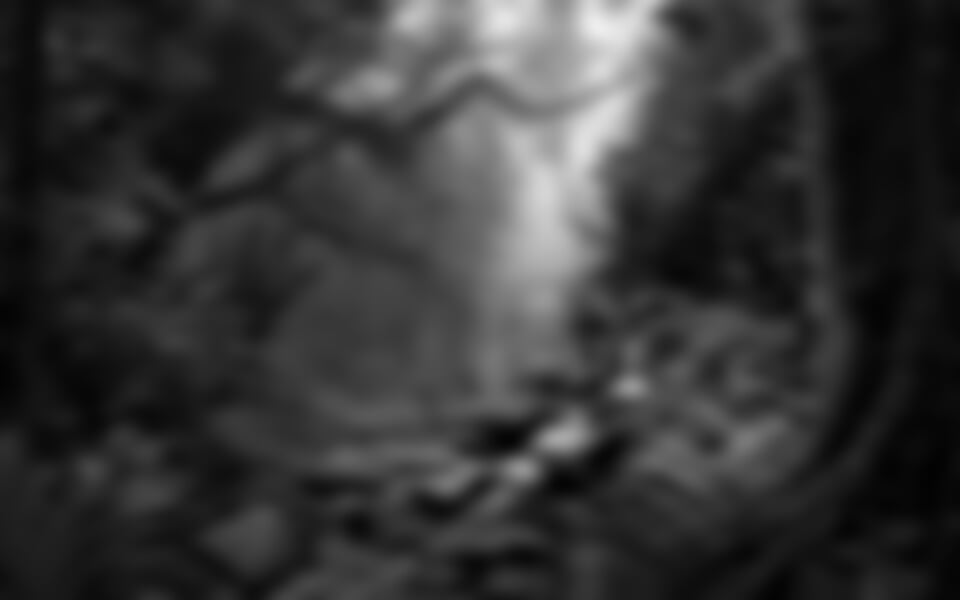 To nejlepší z Brazílie + AMAZONSKÝ PRALES + KOUPÁNÍ NA KOKOSOVÉM POBŘEŽÍ (leteck