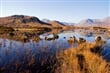 Skotsko - Rannoch Moor