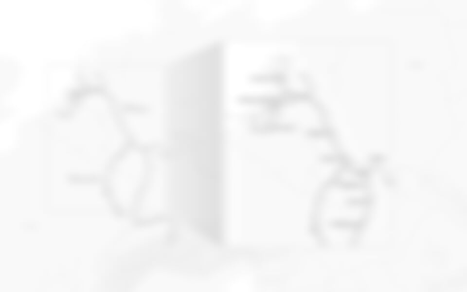 Plavba po panoramatickém Rýnu