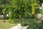 Neda (Maršić) vila - Gradac - Chorvatsko - 101 CK Zemek