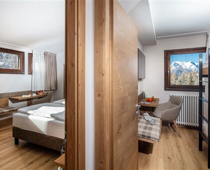 Hotel Nigritella, Selva (5)