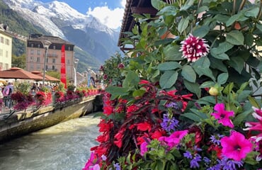 Saint-Gervais-les-Bains - Mont-Blanc Express a Ženevské jezero, sýry a bernardýni