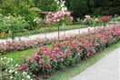 Mainau 09