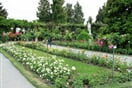 Mainau 010