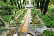 Mainau 013