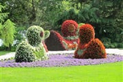 Mainau 017