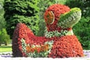 Mainau 018