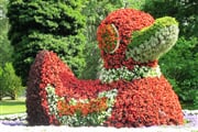 Mainau 018