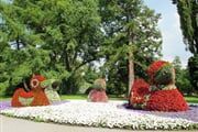 Mainau 019