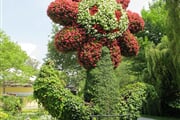Mainau 02