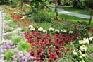 Mainau 05
