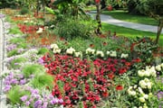 Mainau 05