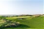 Yas Links Golf Course  (2)