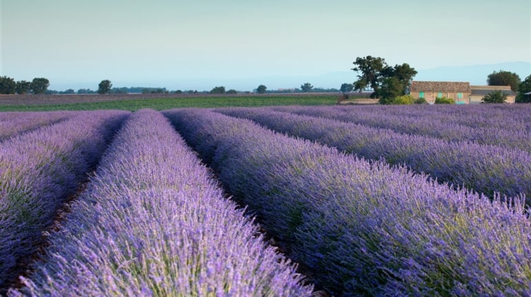 Francie - Provence 153762609