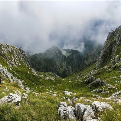 oleg gratilo f1KwX3xP34U unsplash