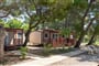 Paklenica Bluesun kemp mobil home - Starigrad/Paklenica - 101 CK Zemek - Chorvatsko