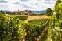 Foto - To nejkrásnější z Lyonu + STŘEDOVĚKÉ ANNECY + VINAŘSKÁ OBLAST BEAUJOLAIS