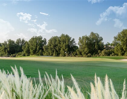 Doha GC (1)