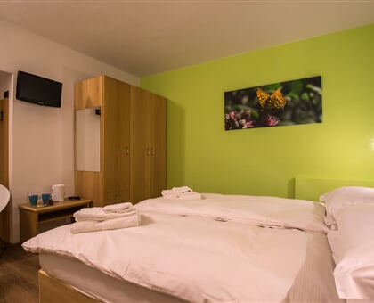 AlpenColor Tonale Hotel, Passo Tonale (19)