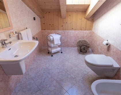 Chalet Alberti, Bormio (15)