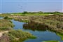 Oman Muscat Golf AlmoujClub Course1