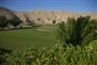 Oman Muscat Golf GhalaClub 10