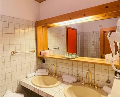 Molino Hotel, Falcade (5)