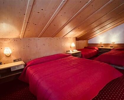 Molino Hotel, Falcade (7)