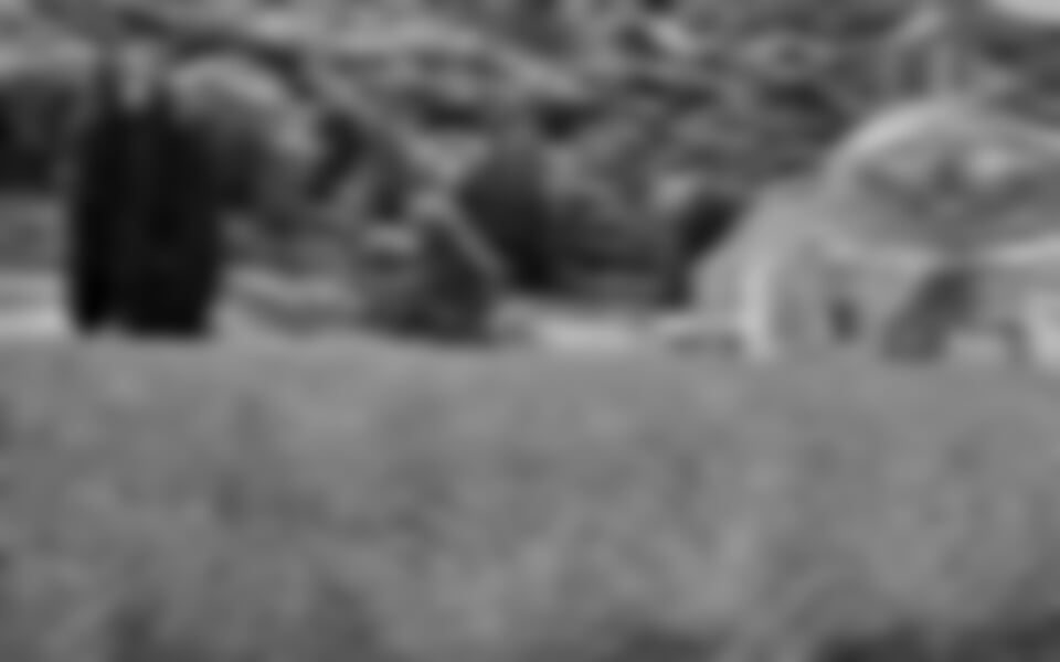 Francie - Provence, Vůně Levandule