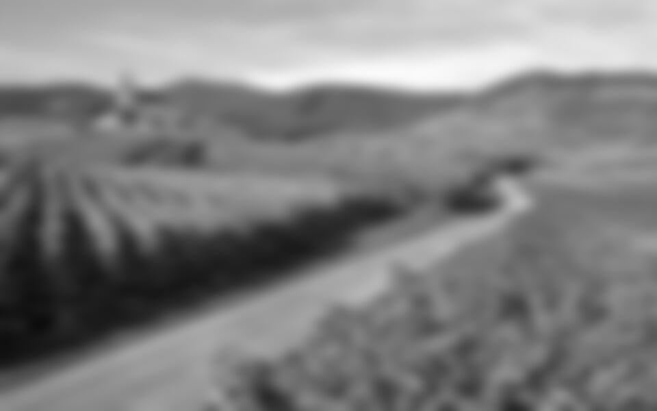 To nejlepší z Colmaru + ŠTRASBURK + ALSASKÁ VINNÁ STEZKA (letecky z Prahy)