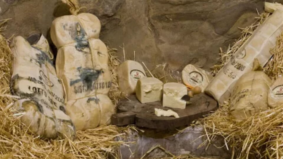 Snímek obrazovky 2025 10 22 101132 (855×482) Snímek obrazovky 2025 10 22 101132