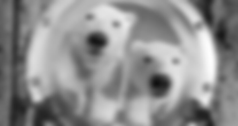 MSC Poesia - Grandiozní severská plavba: Island, Grónsko, Orkneje - s delegátem